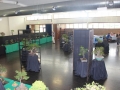 BonsaiShow2016 024