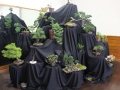 BonsaiShow2016 058