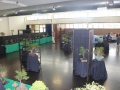 BonsaiShow2016 024