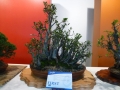EasterShow2015 078