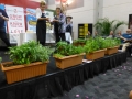 Presentation