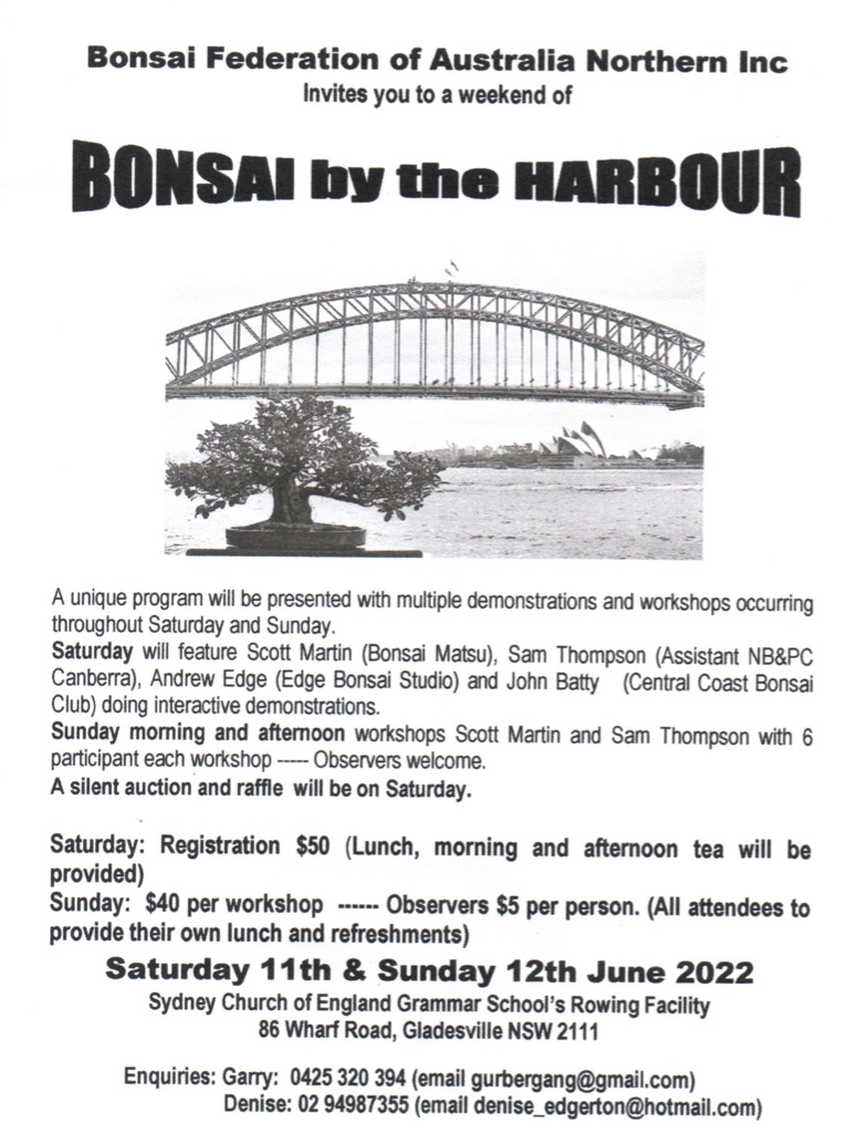 Bonsai by the Harbor - Saturday 11th & Sunday 12th June 2022