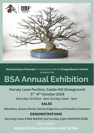 BSA Annual Exhibition poster